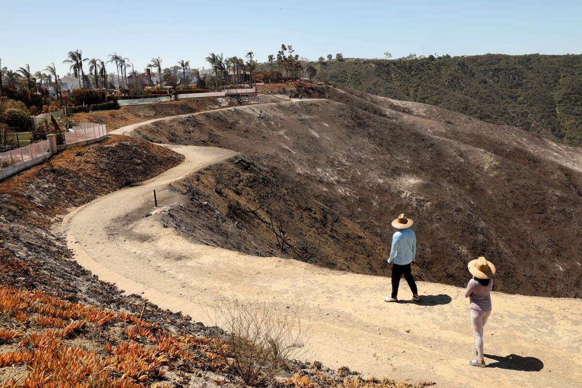 People walk a trail along a charred landscape burned by a wildfire.