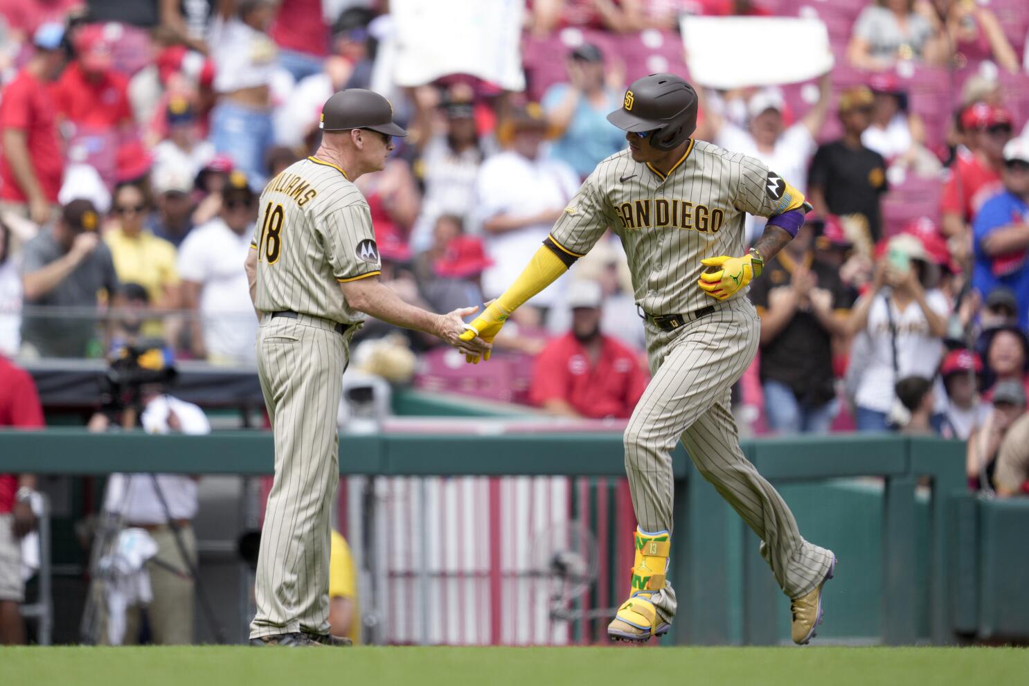 How Many Home Runs Did Nelson Cruz Eat Last Year