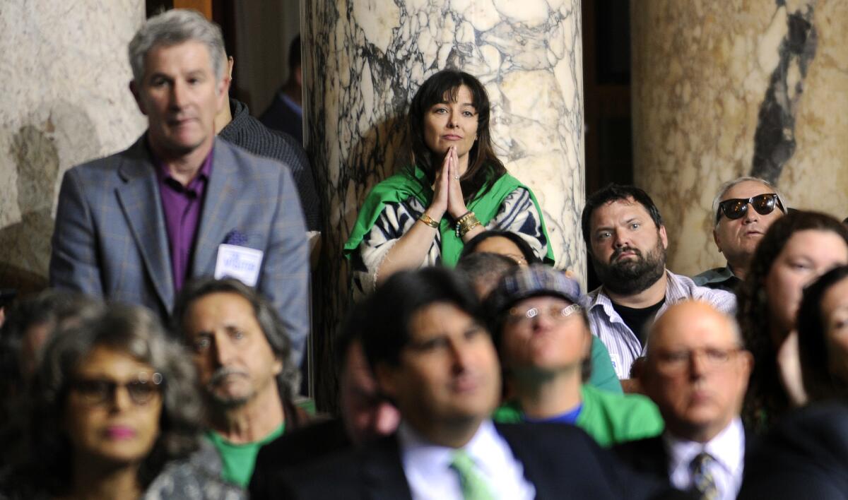 Nederlander supporters look on during a City Council committee meeting on Monday.