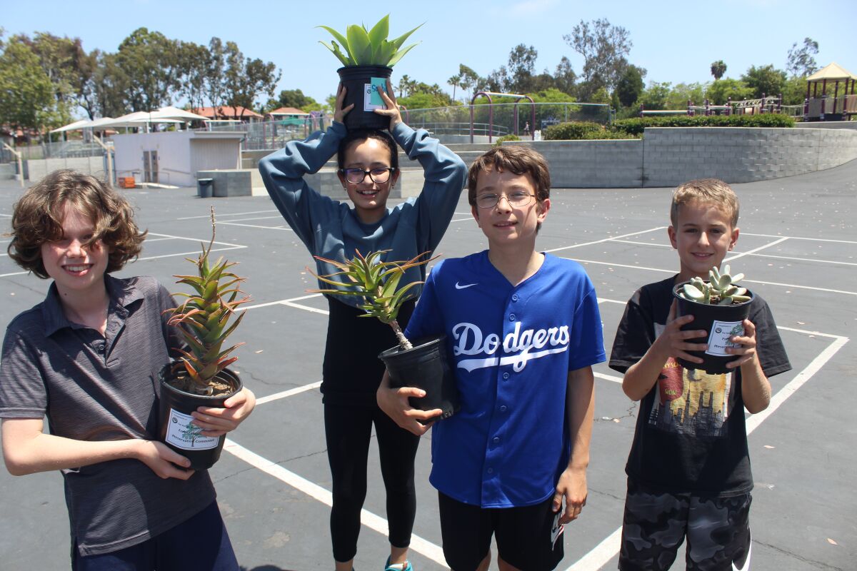Rowe students show off their new succulents.