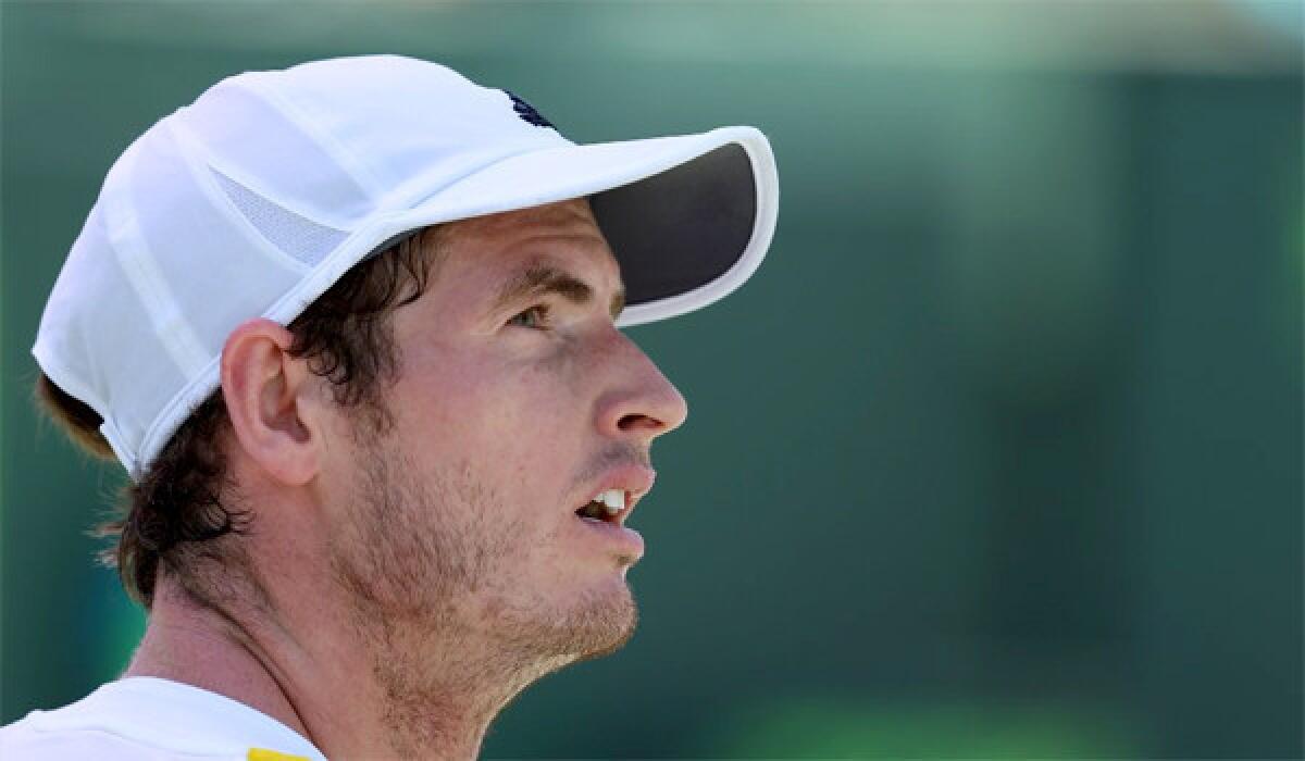 Andy Murray rallied to defeat David Ferrer, 2-6, 6-4, 7-6 (1), during the Sony Open final on Sunday.