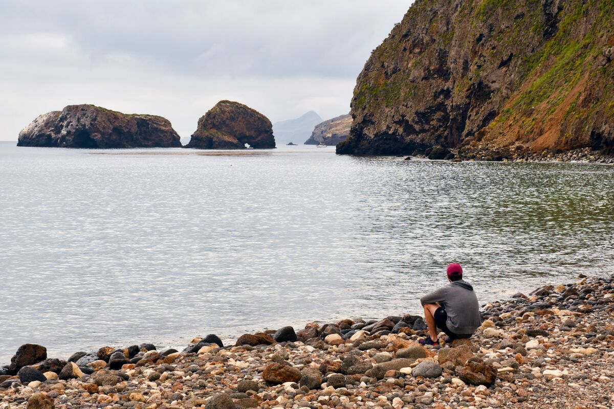 Santa Cruz Island, Channel Islands National Park.