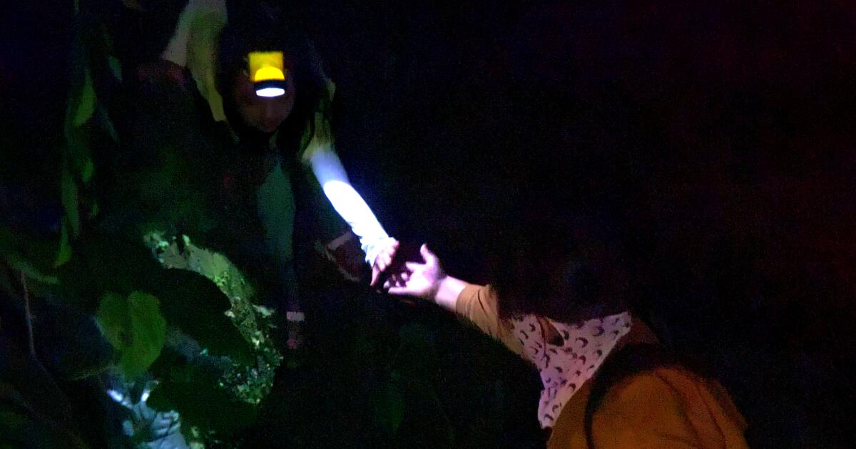 ‘비욘드 유토피아’ 리뷰: 북한 내부에서 비밀리에 촬영됐다 ‘비욘드 유토피아’ 리뷰: 북한 내부에서 비밀리에 촬영됐다