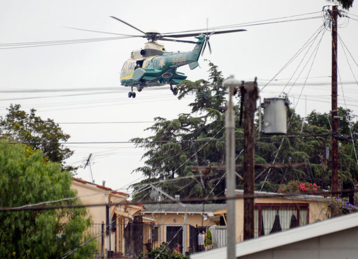 Los Angeles County Sheriff's SWAT team members in a helicopter fly low over homes during a massive manhunt for a suspect who shot at two detectives.