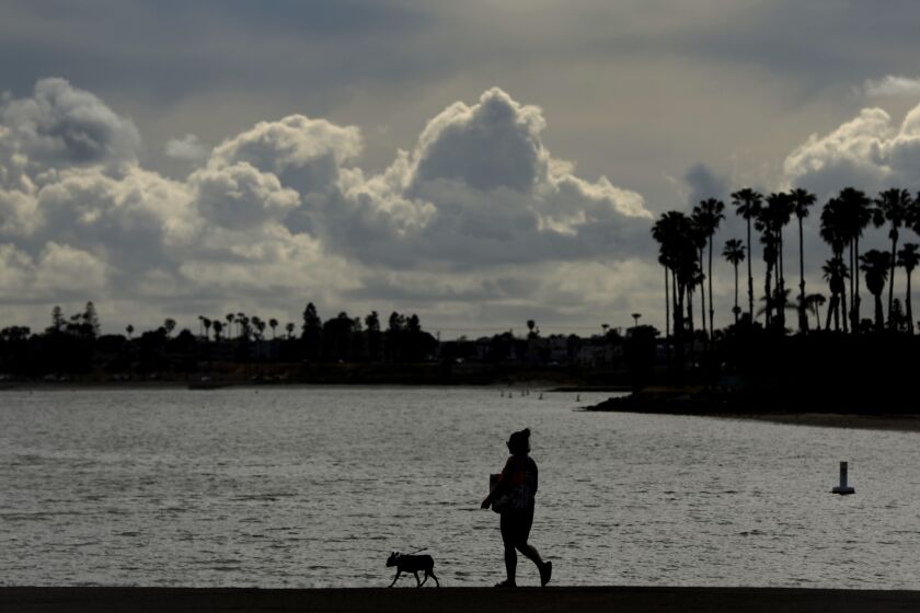 San Diego, CA - May 4: A woman walks a dog in Mission Bay Park on a cool, breezy day on Thursday, May 4, 2023 in San Diego, CA. (K.C. Alfred / The San Diego Union-Tribune)