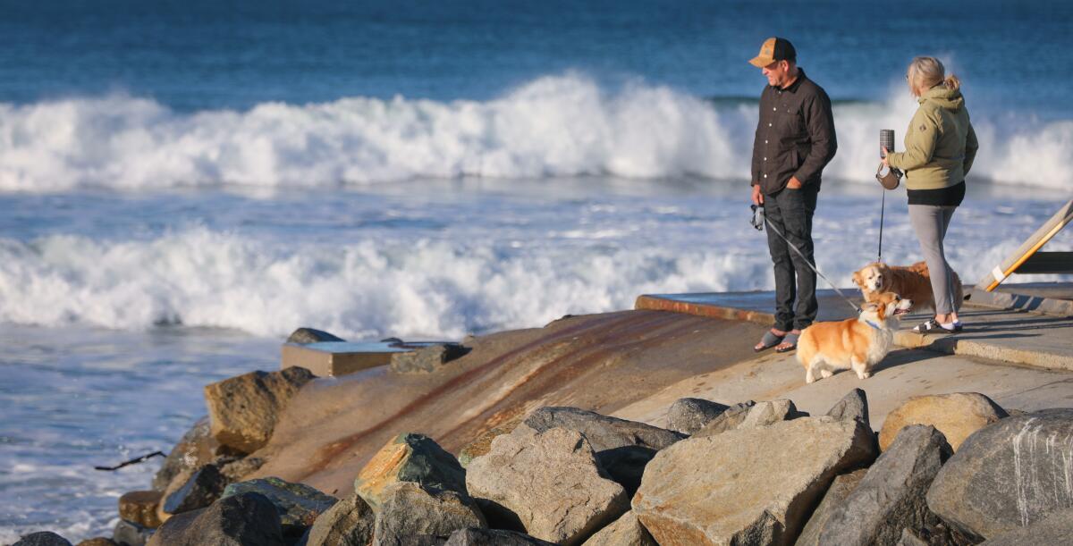 Mark and Shannon Finnigan of Oceanside, with their dogs, Rugby and Cody, watch the King Tide waves.