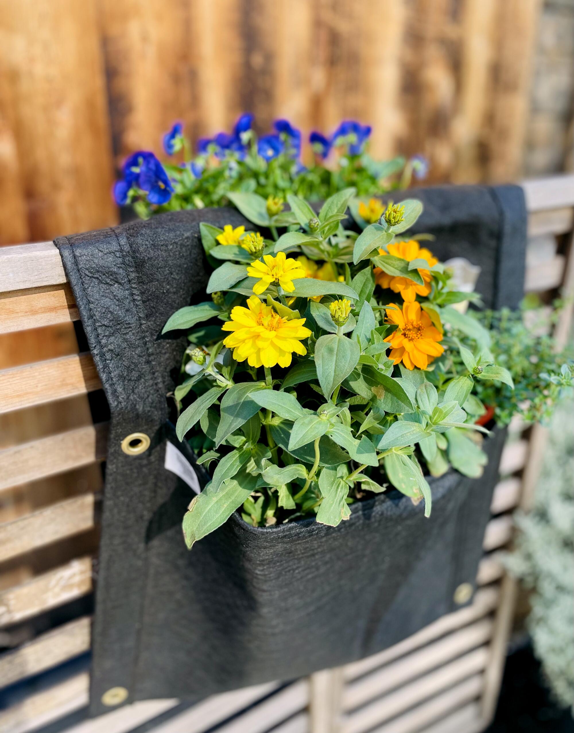 Flowers fill a double-sided balcony planter.