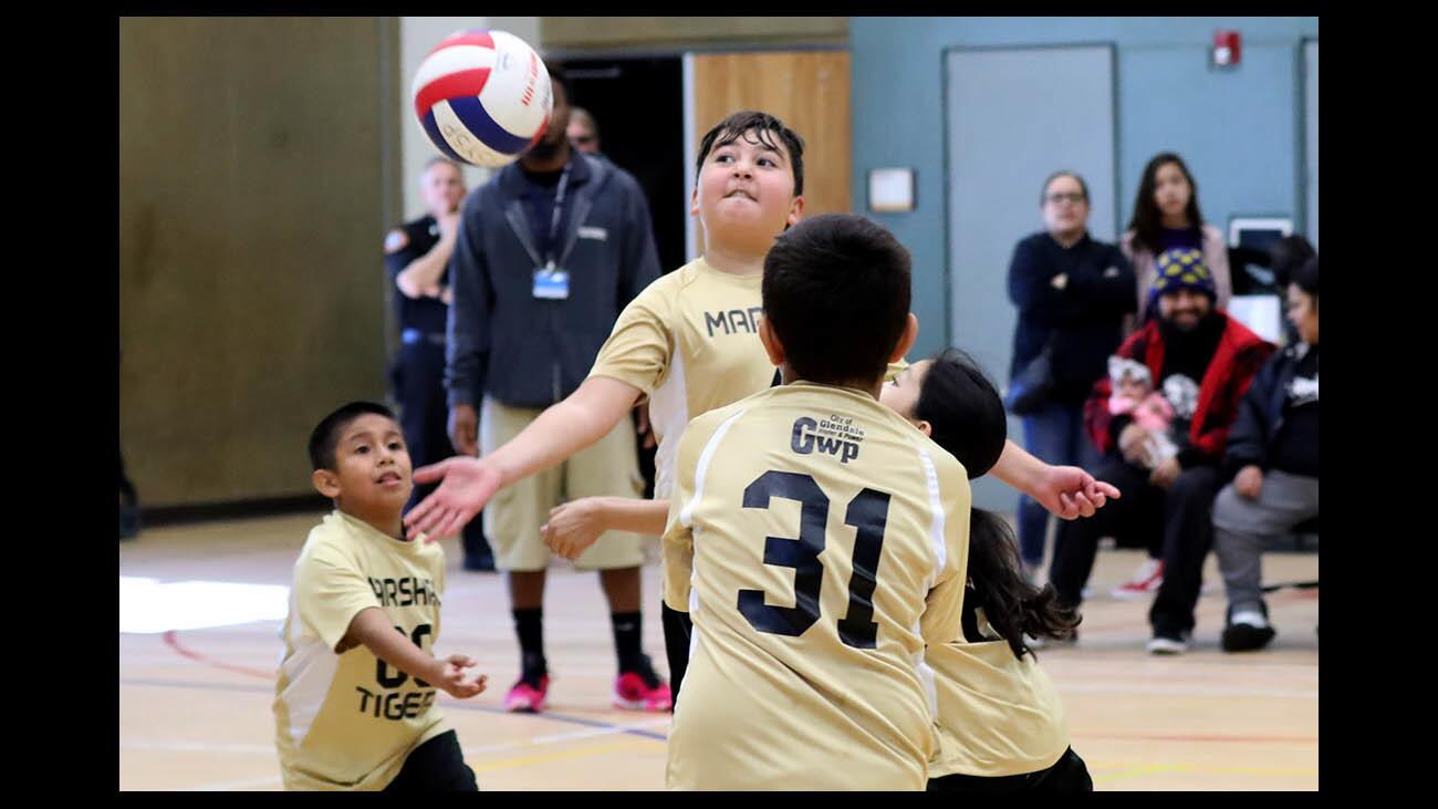 Photo Gallery: Glendale Community & Parks youth volleyball tournament draws large crowd