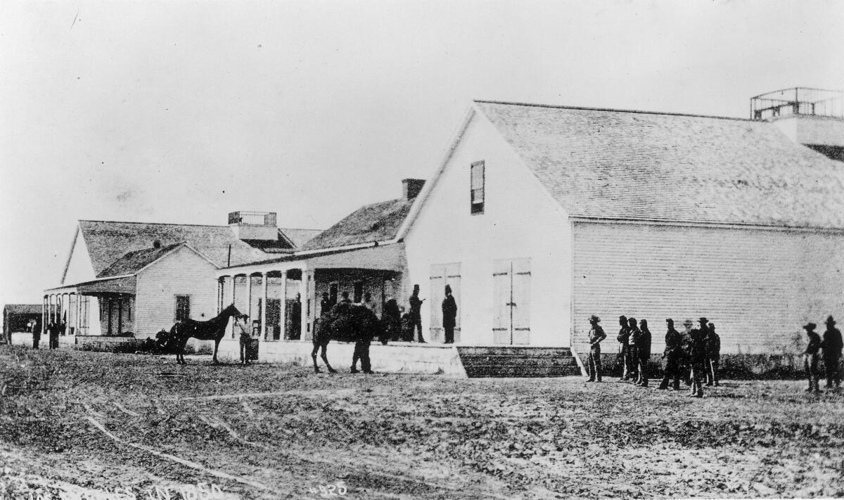 Historical image shows a camel in Wilmington in the 1800s.
