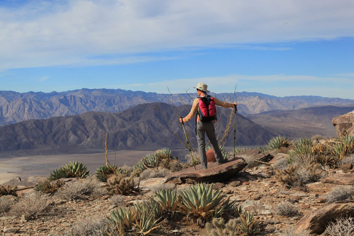 Discover San Diego's open spaces with the Canyoneer's guided hike series.