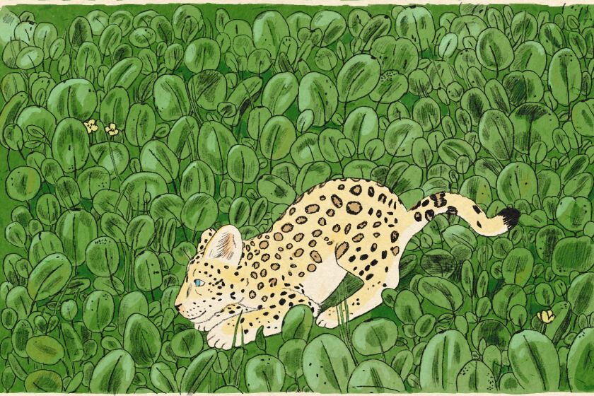 Illustration of a jaguar cub on a leafy background preparing to pounce.
