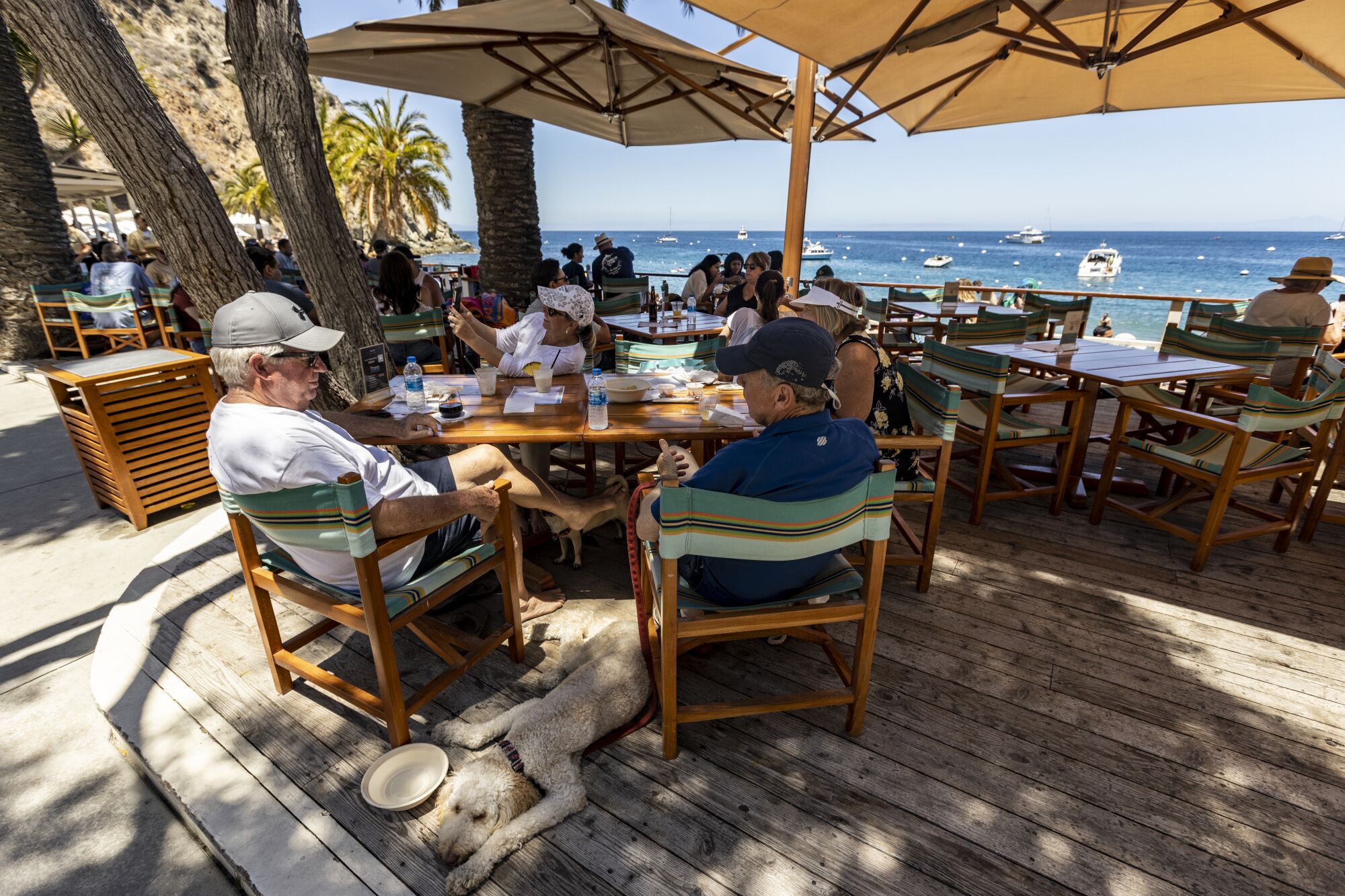 Beach-goers dine under umbrellas at outdoor tables with a view of the bay