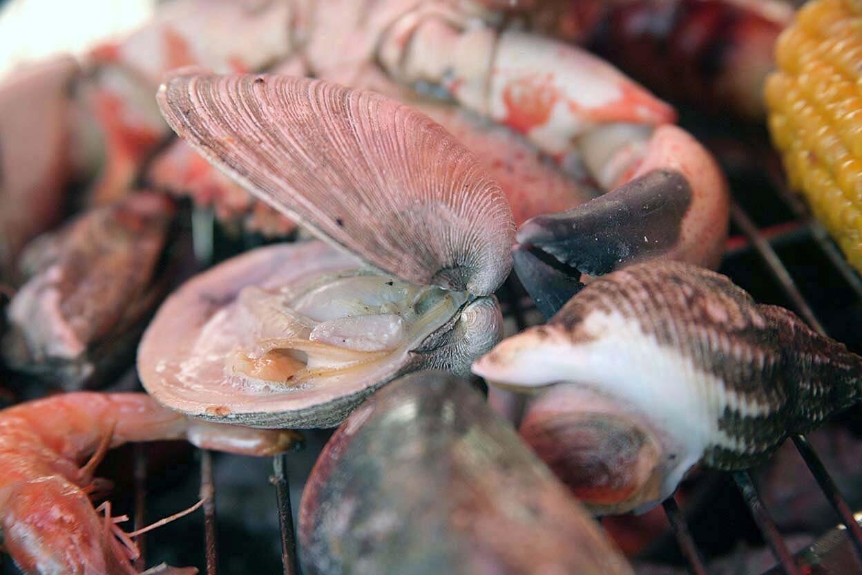The clams are done when their shells swing open on their own.