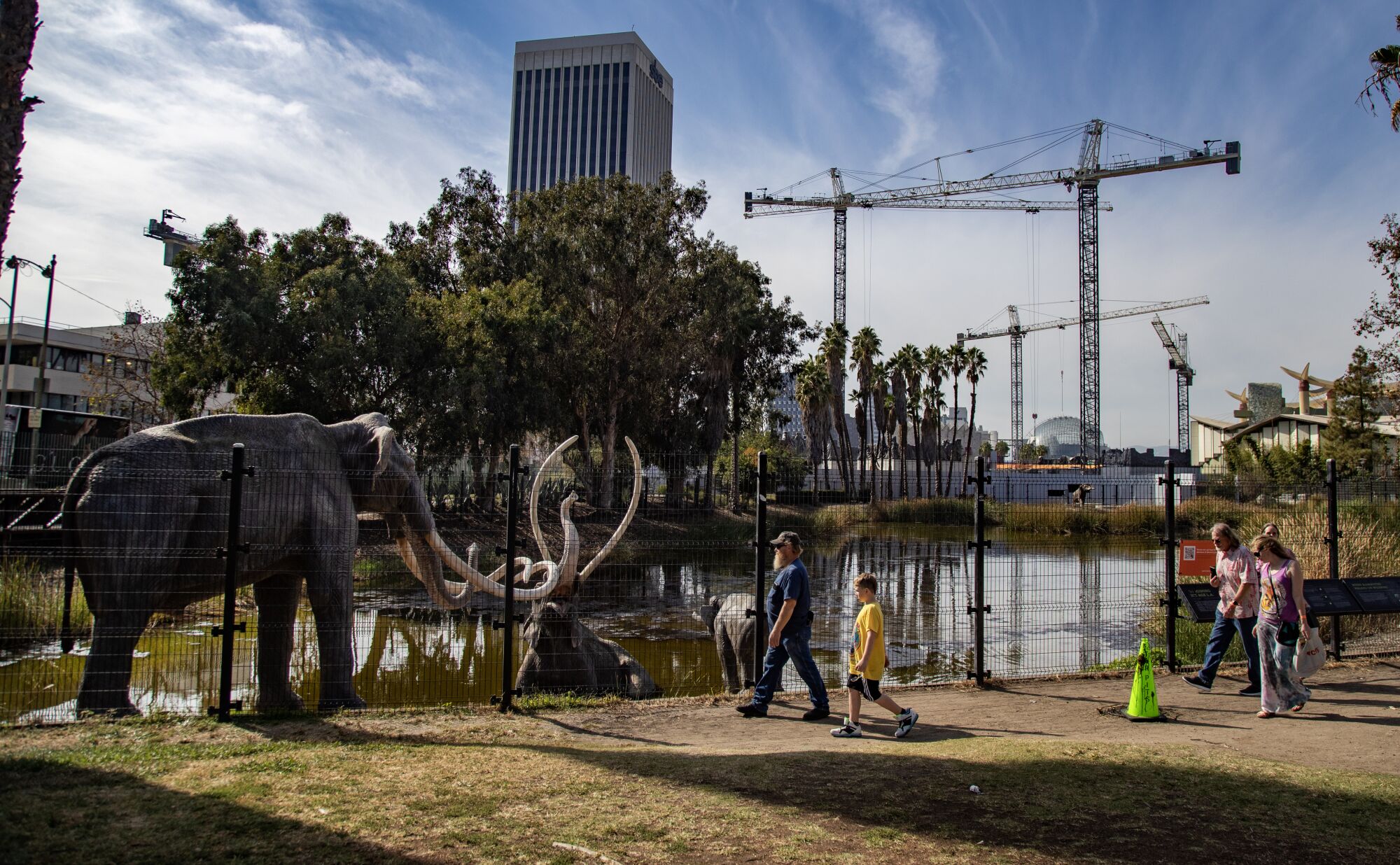 Visitors view the life-size Columbian Mammoths from the Ice Age on the edge of the large tar pits