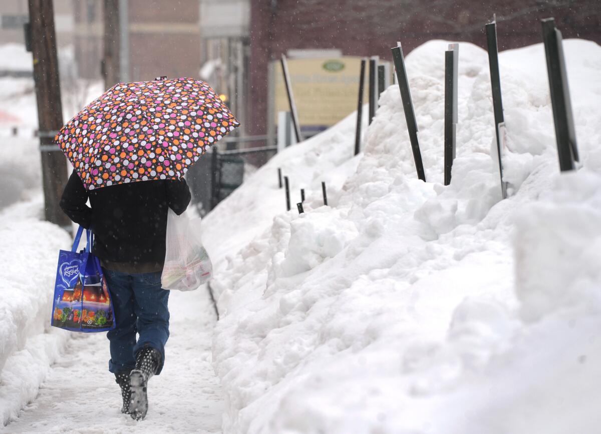 Pam Yeaple walks home along East Philadelphia Street after grocery shopping in York, Pa. on Saturday, Feb. 15, 2014. An inch of new snow had fallen by mid-day in much of eastern Pennsylvania on Saturday. Forecasters predicted 2 to 5 inches before evening. (AP Photo/York Daily Record, Jason Plotkin) ** Usable by LA and DC Only **