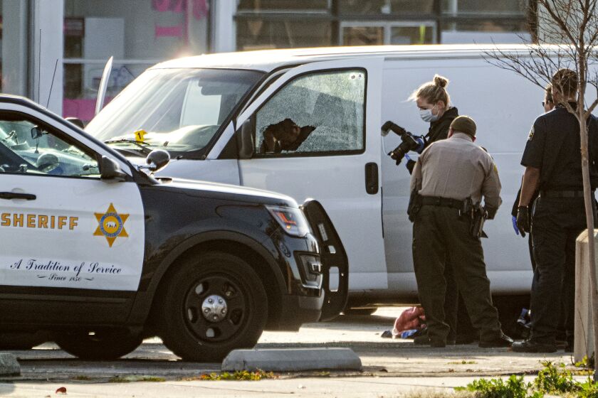 Un cuerpo en el lado del conductor de una camioneta mientras las autoridades investigan en Torrance, California, el domingo 22 de enero de 2023. Las autoridades dicen que el conductor, el sospechoso de un tiroteo en un club de California donde murieron varias personas, se disparó a sí mismo. (AP Foto/Damian Dovarganes)