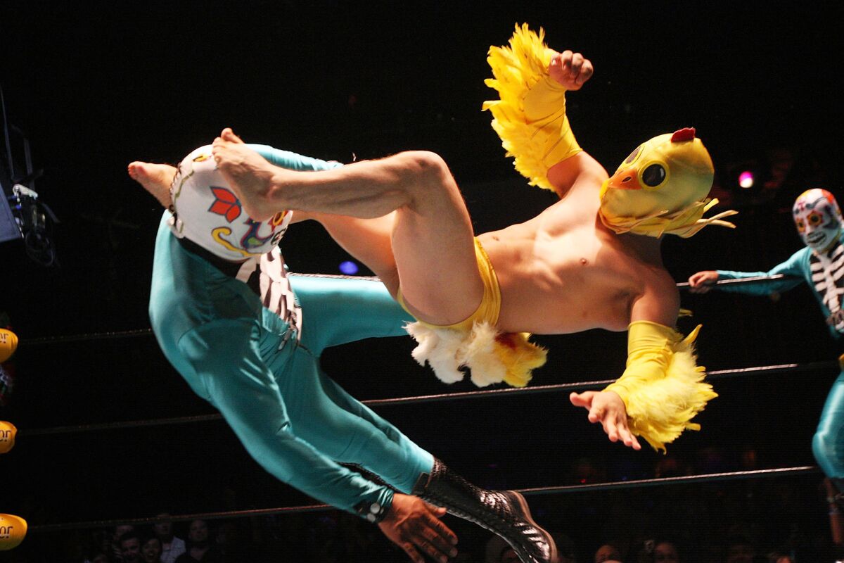 A lucha libre battle between Lil Chicken and Los Cavaleras at Lucha VaVOOM in Los Angeles. The Lucha Libro literary event in Peru is based on such matches. Writers don masks but trade physicality for linguistic feats.