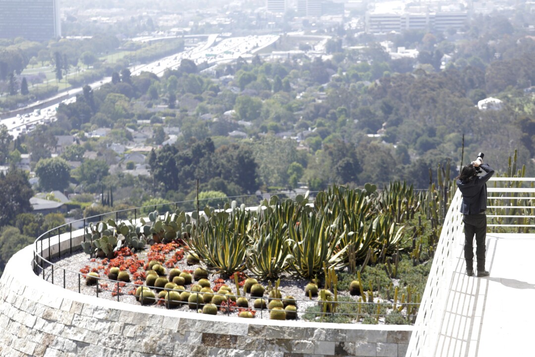 A visitor takes a picture next to cactus gardens at the Getty Center.
