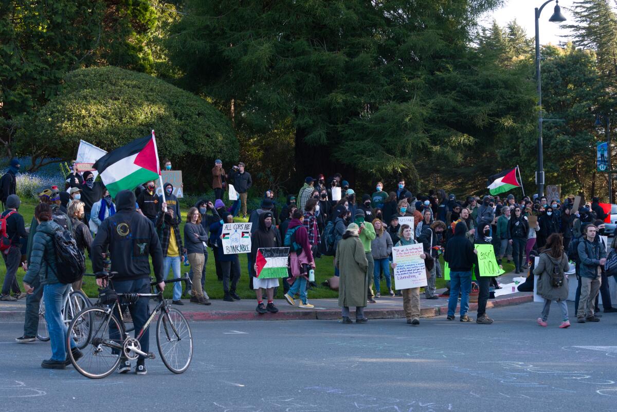 A crowd of protesters holding signs and Palestinian flags on campus