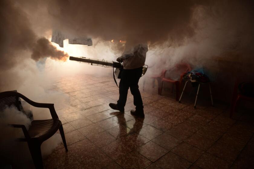 A Health Ministry employee fumigates a home against the Aedes aegypti mosquito to prevent the spread of the Zika virus in Soyapango, El Salvador. Health authorities have issued a national alert against the mosquito.