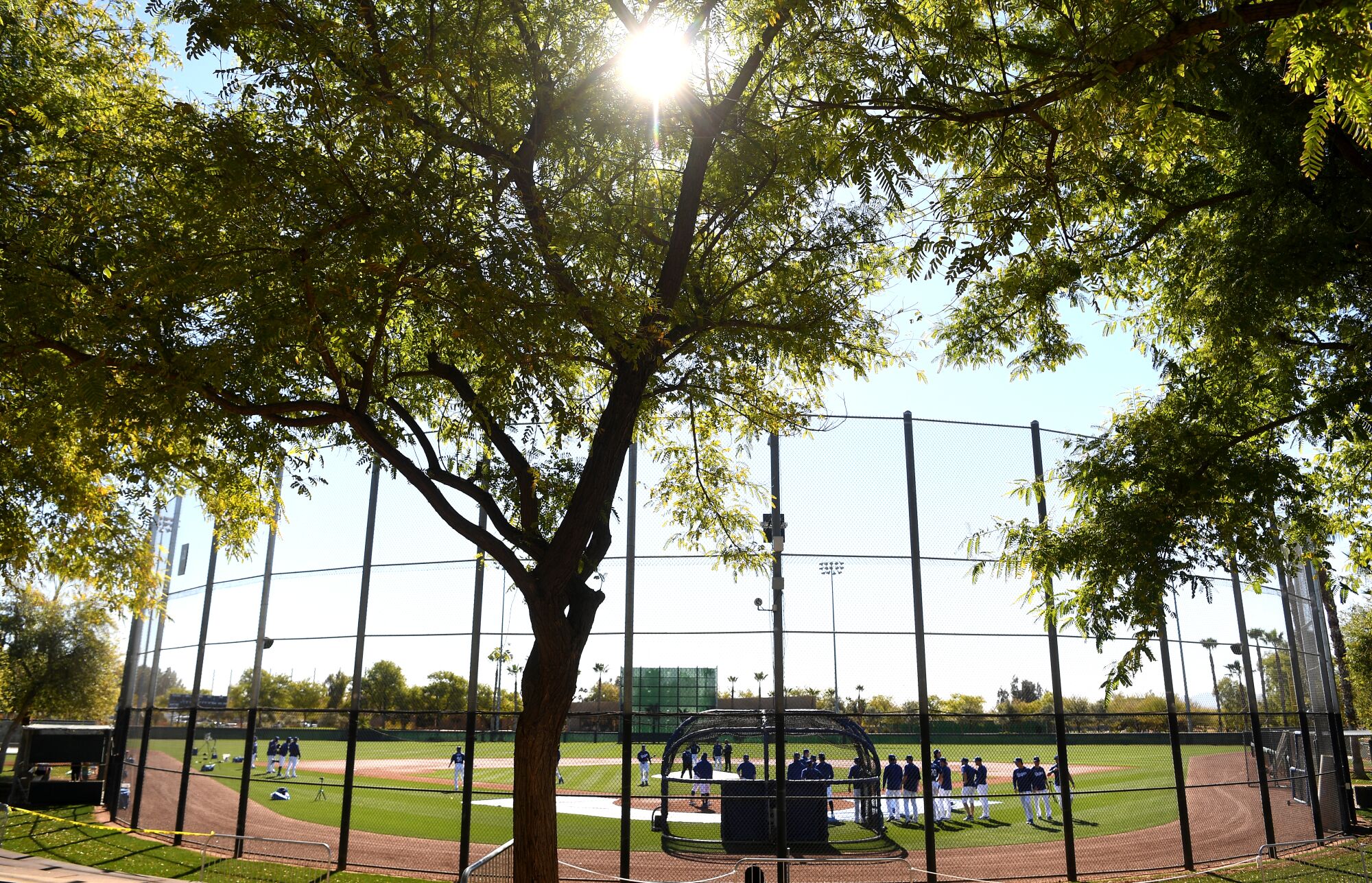 Dodgers warm up before a spring training game