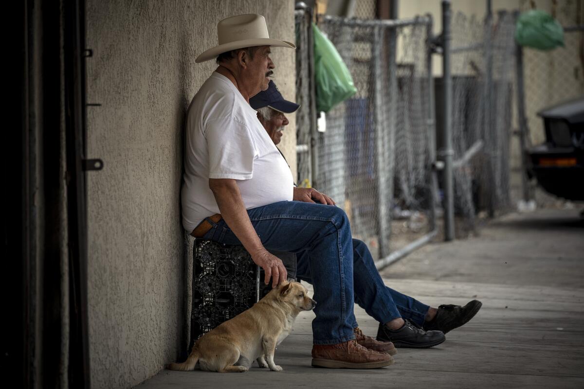 Remigo Martinez, 62, a farmworker, passes time sitting in the shade of a shopping plaza with his dog Chaparron. Seasonal farm work has not yet picked up in Mecca.(Irfan Khan / Los Angeles Times)
