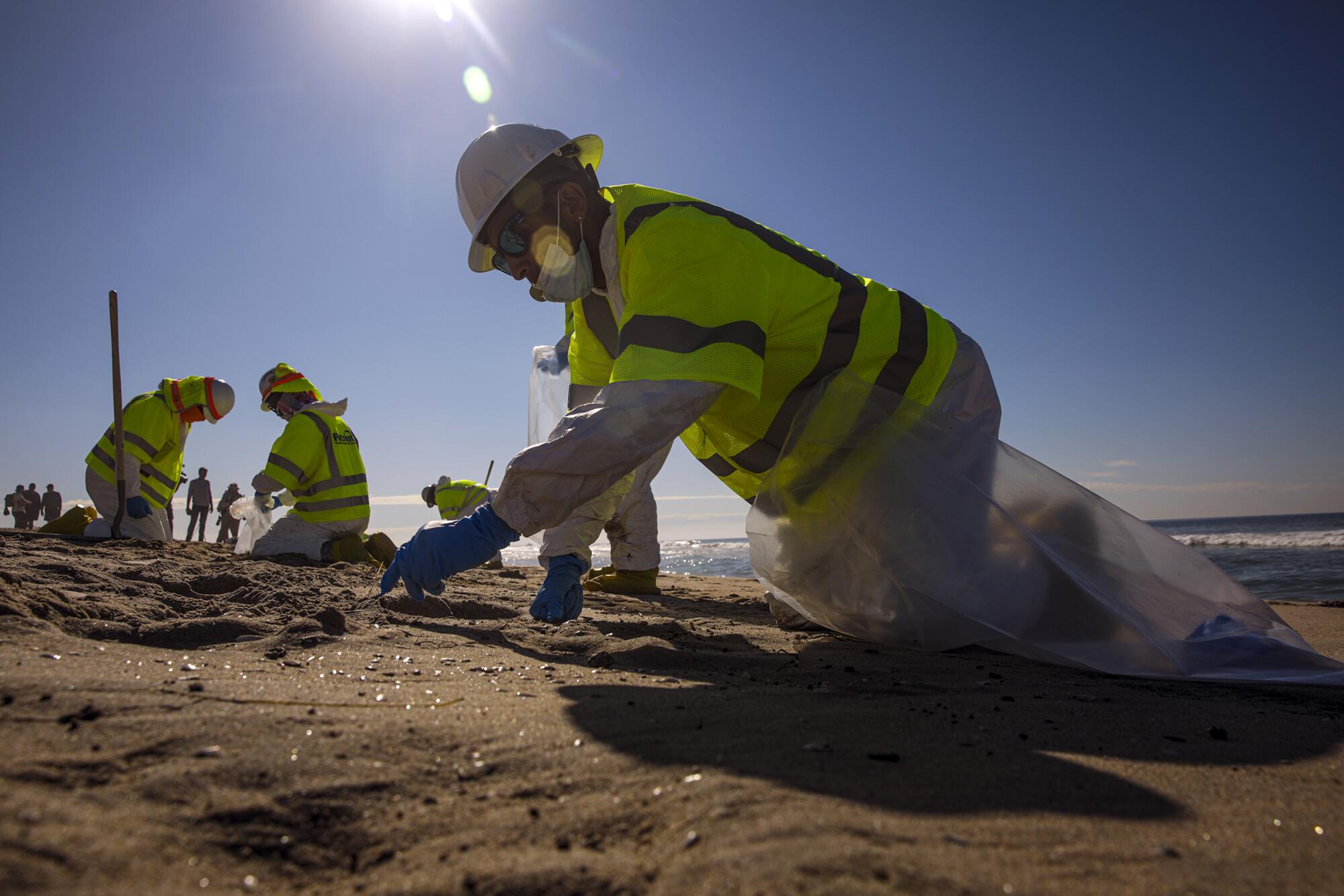 Workers in hats and protective suits are on their knees on a sandy shore 