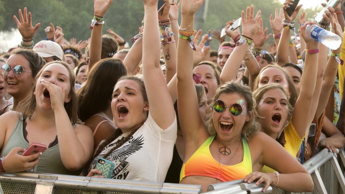 Concertgoers enjoy the Firefly Music Festival in Dover, Del., in June.