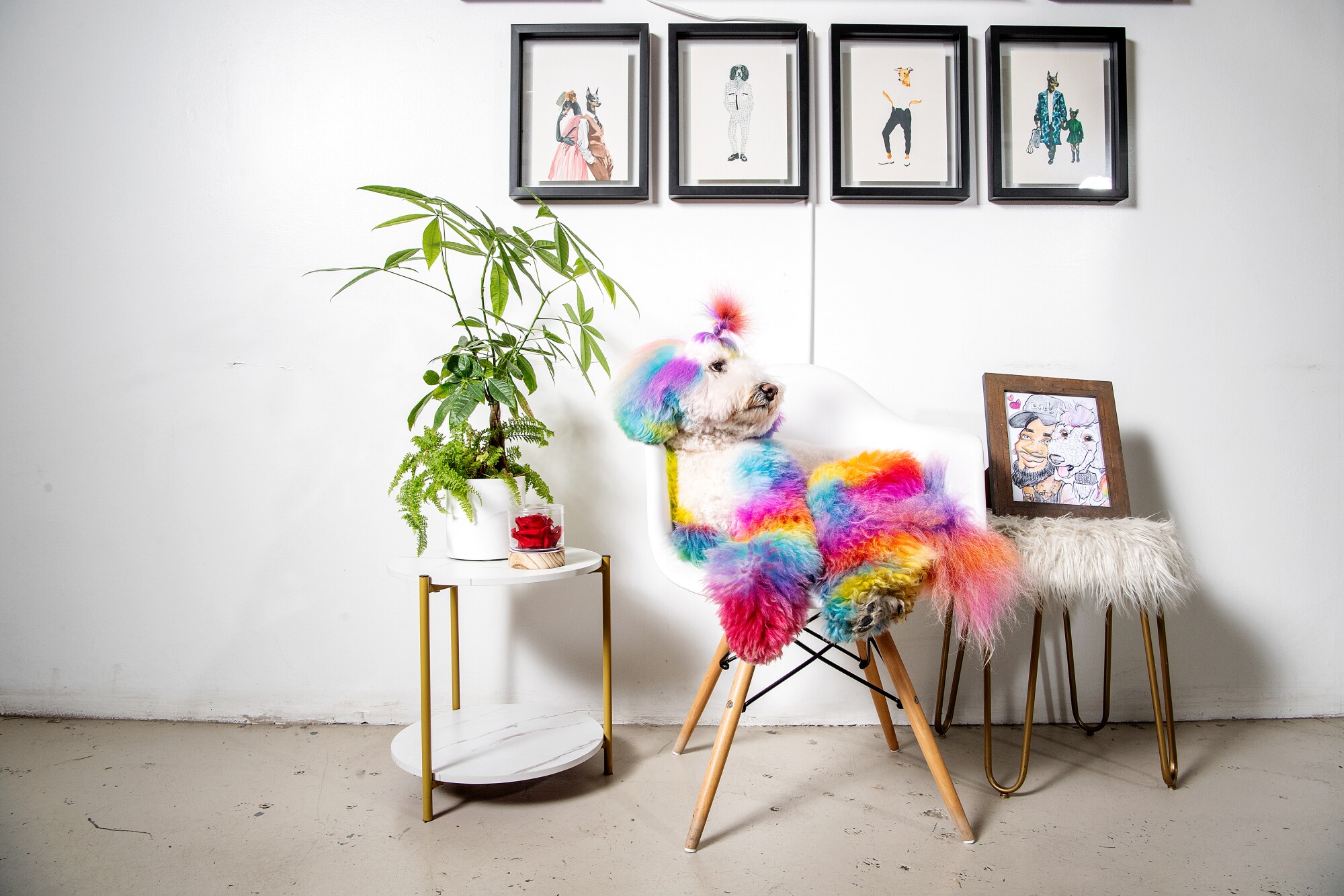 A rainbow dog in a chair next to a plant