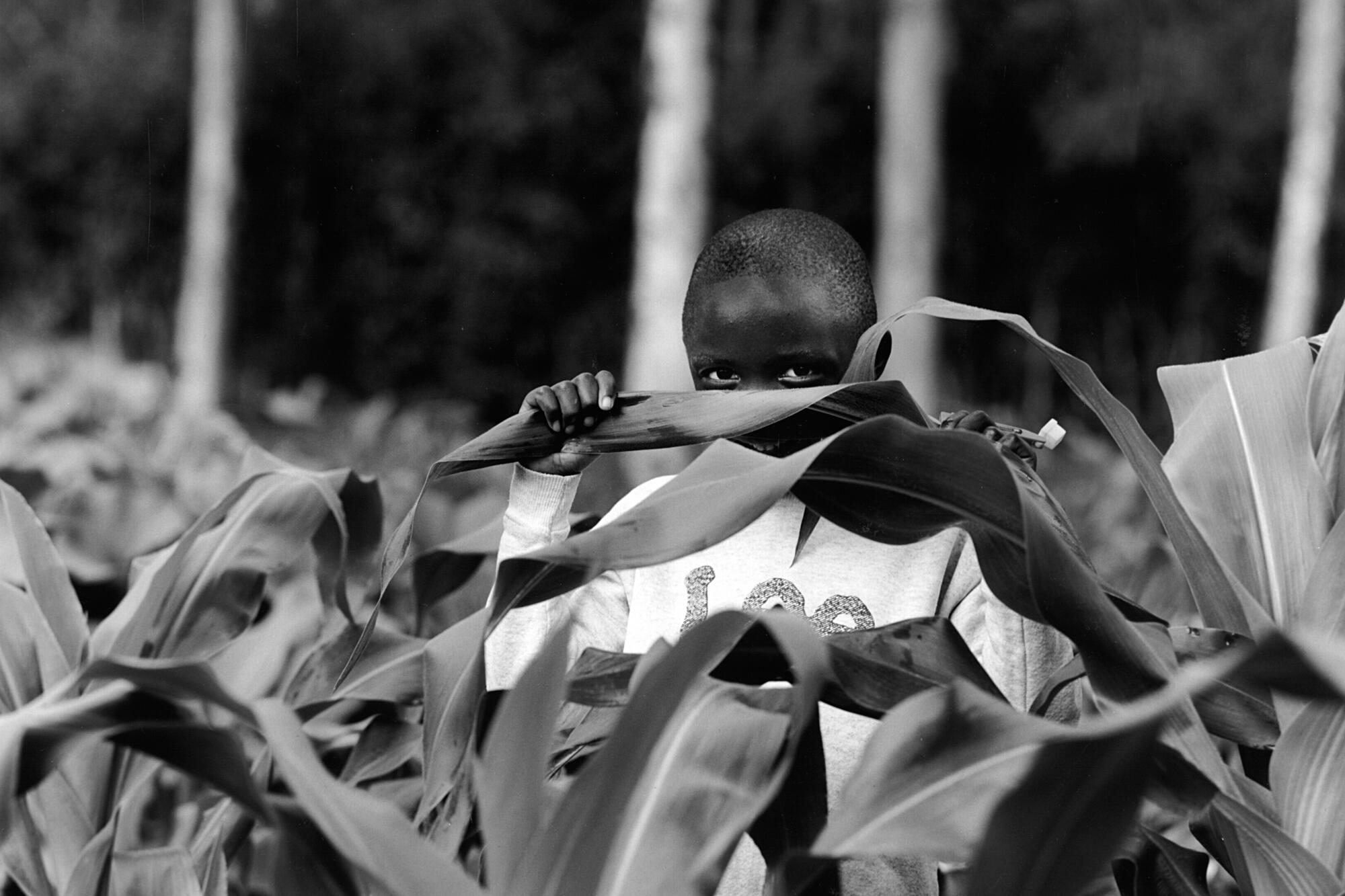 "Boy in Nyumbani Cornfield," by Art Myers