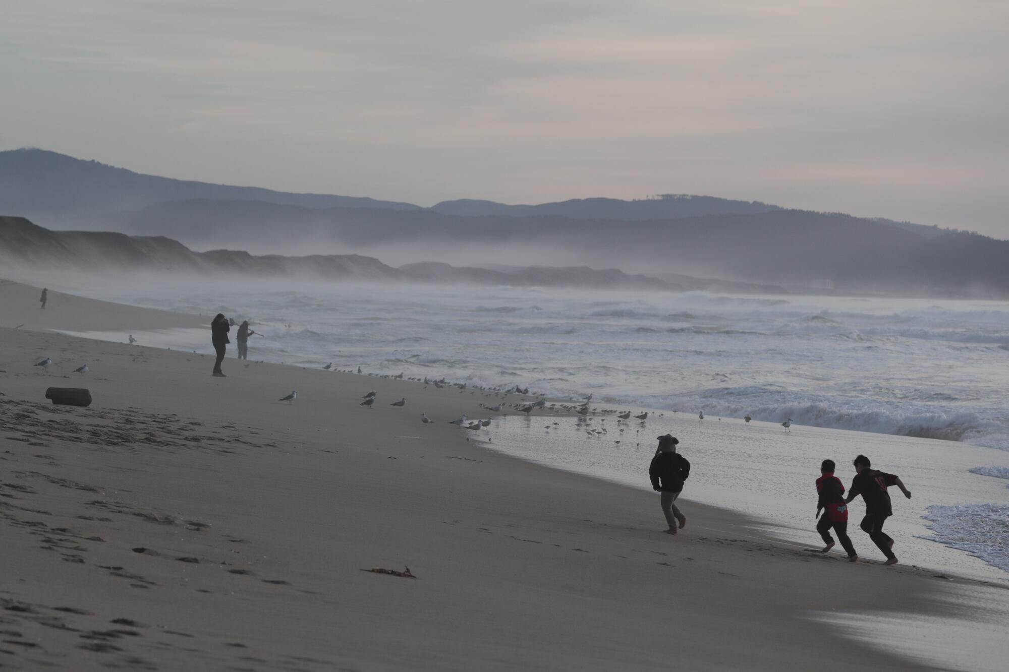 Marina Dunes