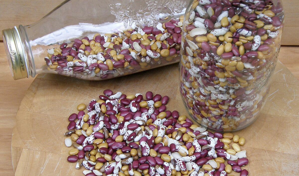 Renee's Garden's new blend of heirloom dried beans will grow a colorful mix of beans in one garden bed.