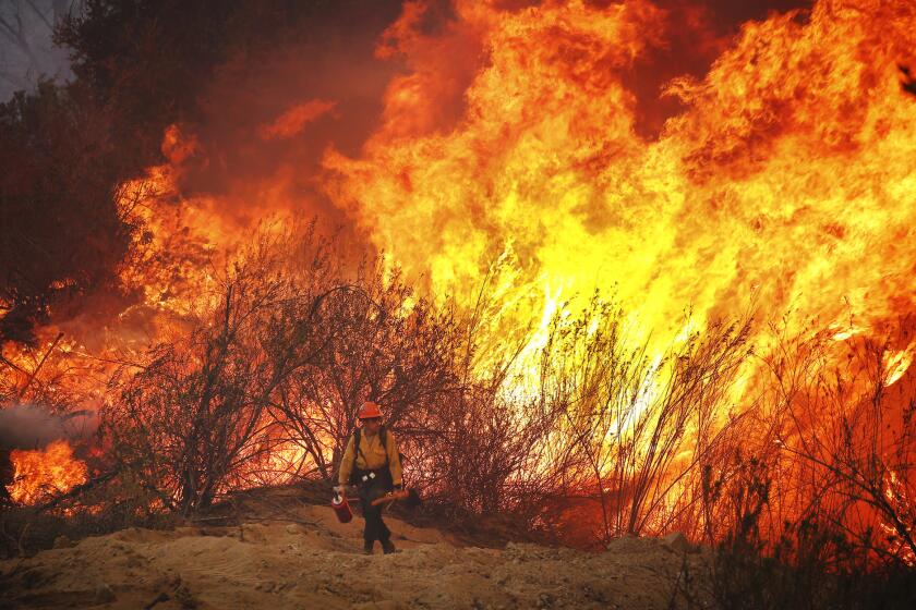 Firefighter Brandon Opliger with the U.S. Forest Service hotshots monitors the Marek Fire as it burns along Little Tujunga Canyon Road above Lake View Terrace.