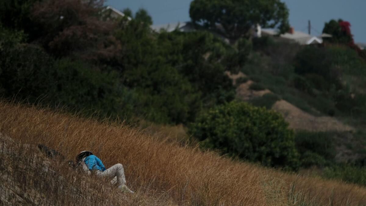 Naomi Gruenthal, 57, right, of Santa Ana hand cuts mustard on a steep hillside in Dana Point.