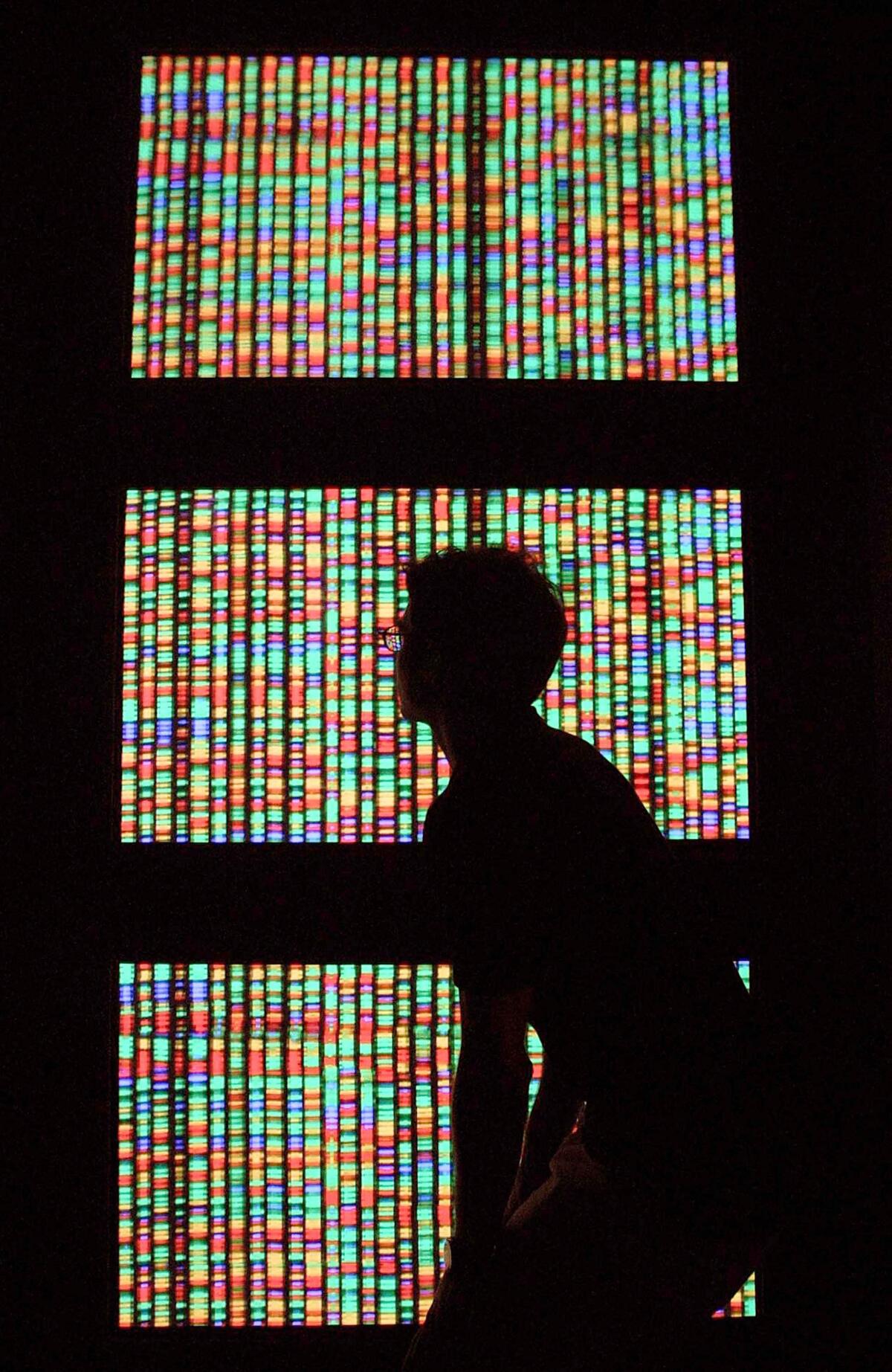 A visitor views a digital representation of the human genome at the American Museum of Natural History in New York City.