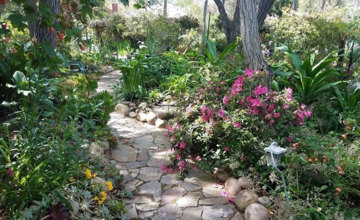 A flagstone path winds through a lush garden.