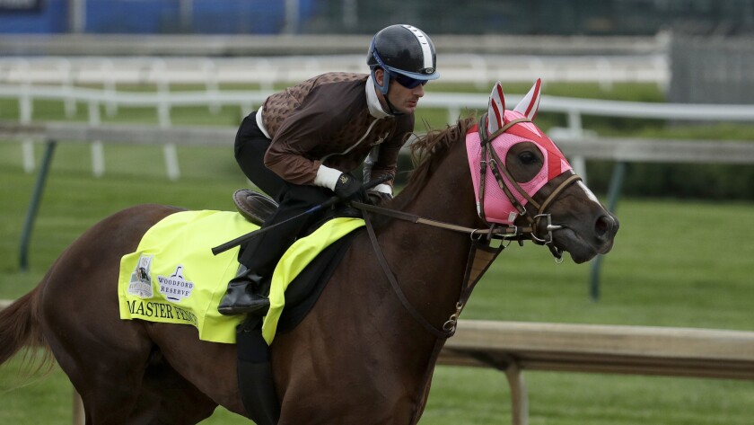 Mistrz szermierki galopuje podczas treningu w Churchill Downs 30 kwietnia.