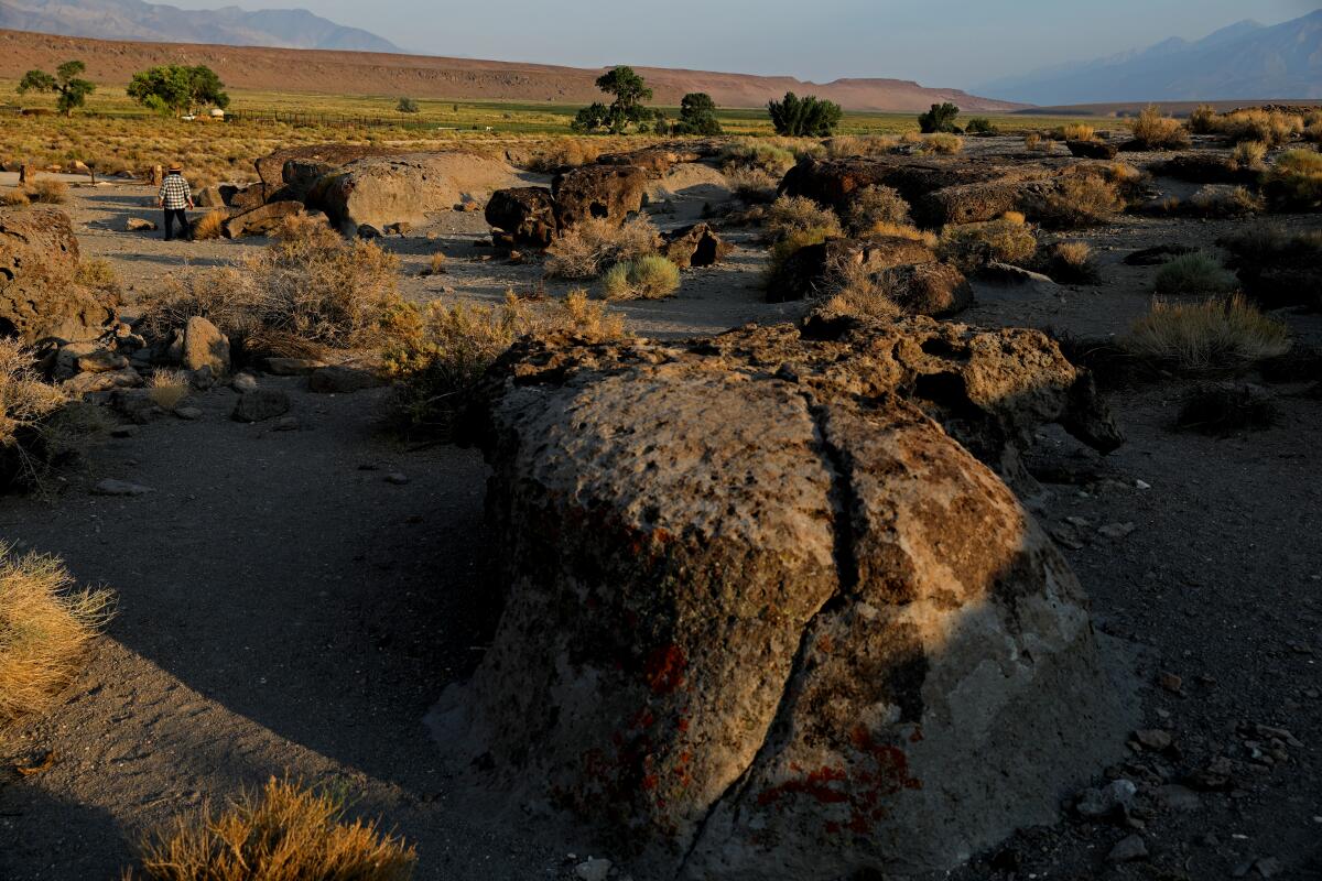 Large, weathered rocks fill an arid landscape.