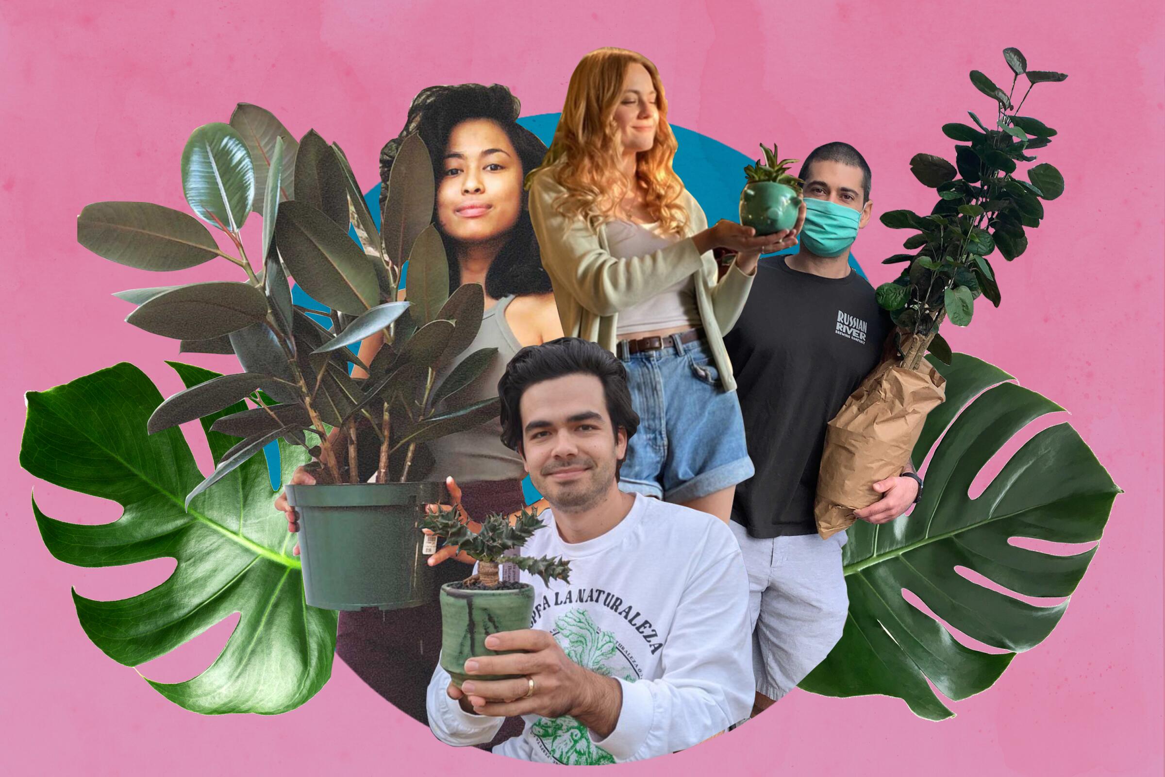 A collage of people showing their plants