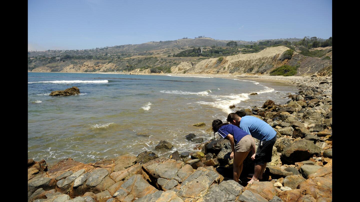 L.A. Walks: Abalone Cove Trail on Palos Verdes