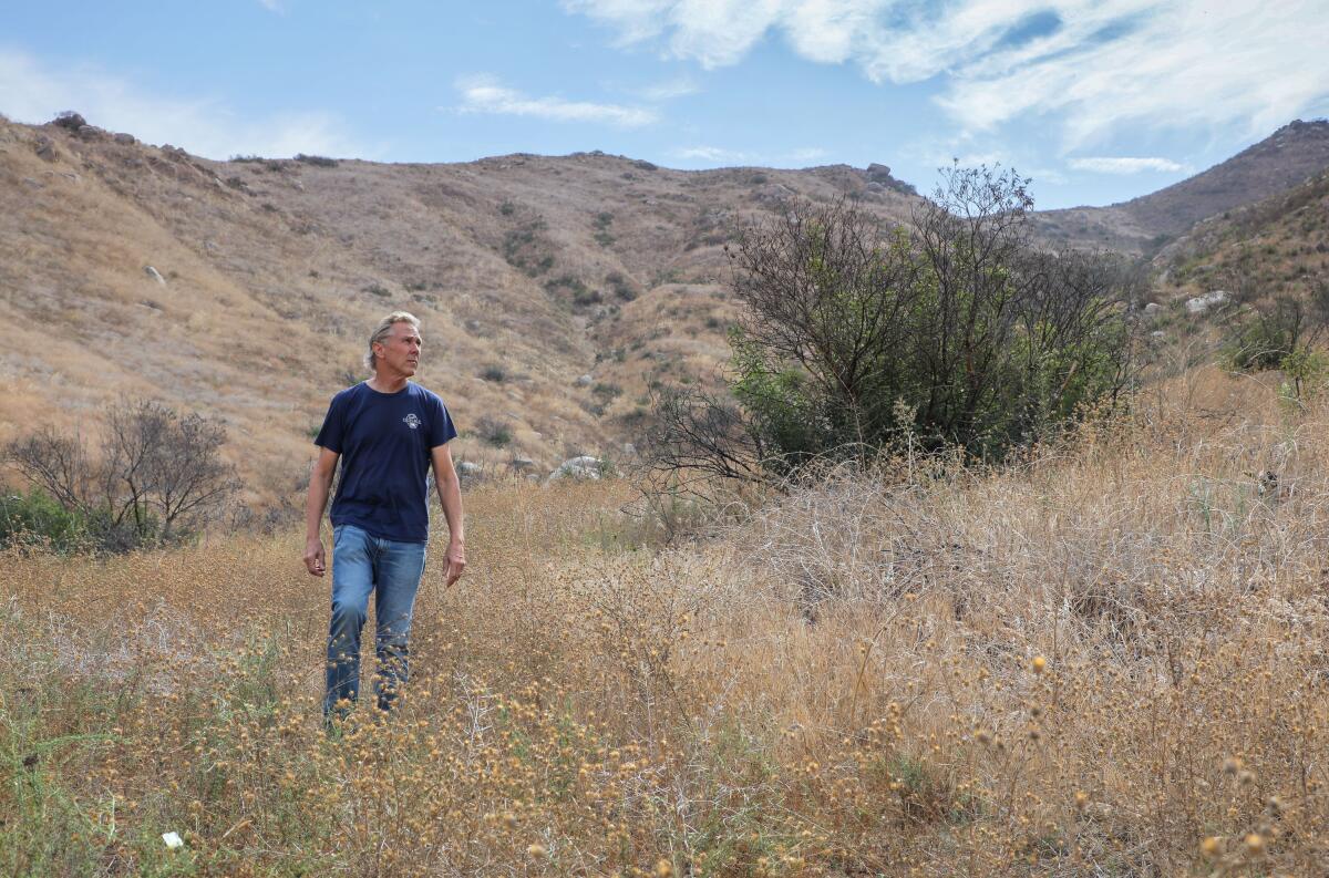 Richard Halsey, director of the California Chaparral Institute, walks through many types of combustible vegetation growing near Highway 78 in the upper San Pasqual Valley. Much of the growth is invasive.