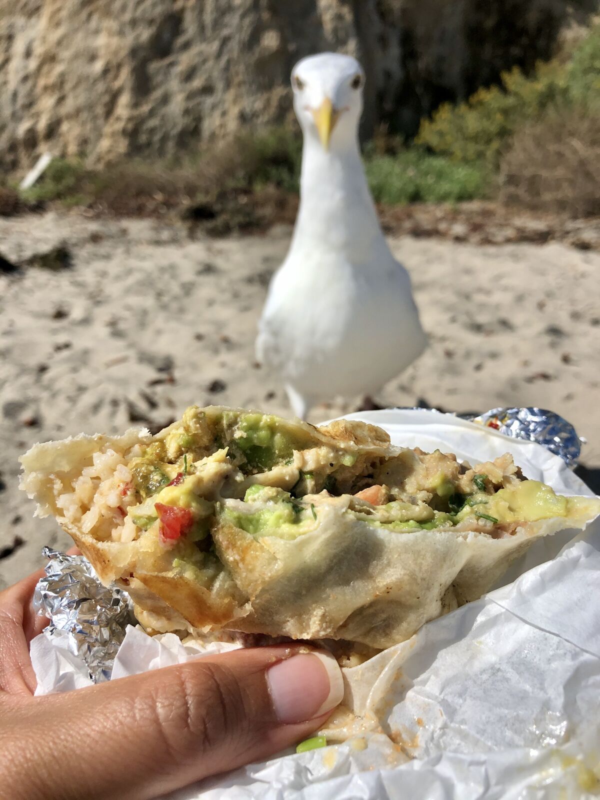 If you don't finish your Lily's Malibu breakfast burrito at Sandstone Peak, bring the leftovers to the beach.
