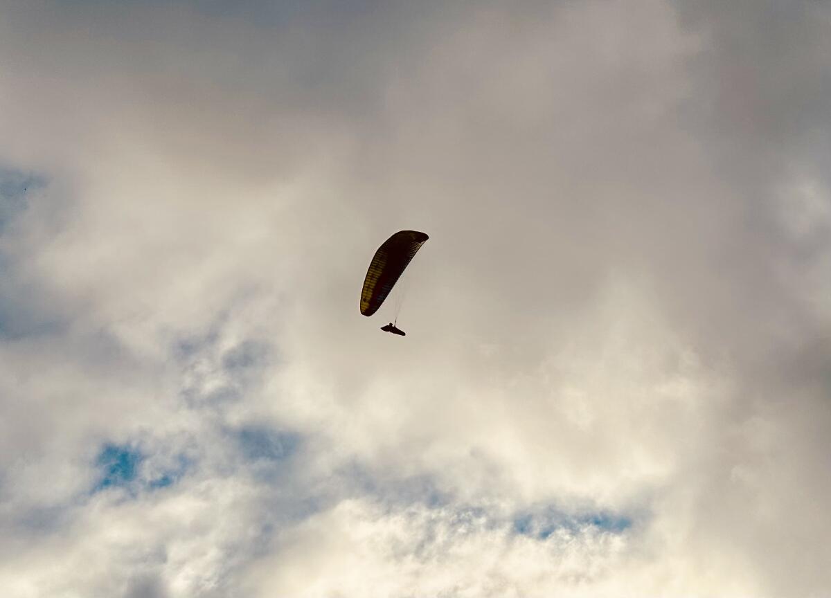 A paraglider sails off Torrey Pines State Beach in late June.