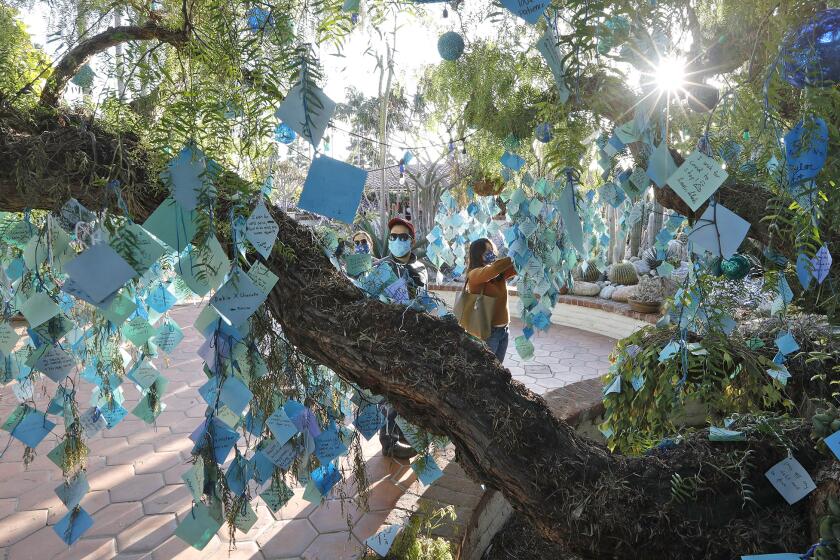 A portion of the thousands messages on the Sherman Library & Gardens wishing tree this holiday season. This year the annual tradition had many more messages due to the pandemic and related issues.