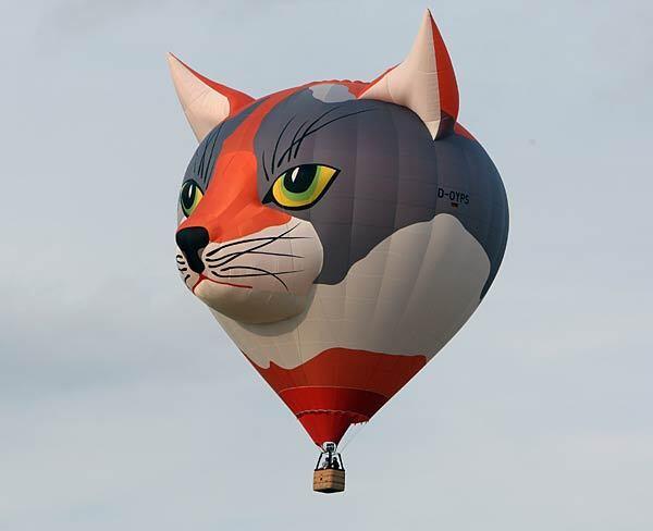 A cat balloon flies over Arnsberger Forest National Park at the Warsteiner International Hot Air Balloon Show.