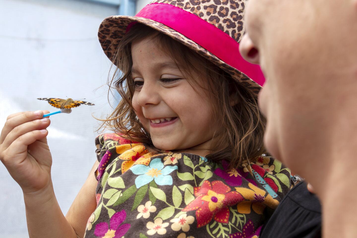 Sarah Bunkowske, 3, meets a painted lady butterfly during Imaginology at the OC Fair & Event Center in Costa Mesa on Friday.