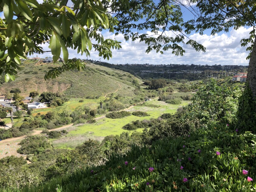 San Diego Paying 2 5m Fine For 2016 Sewage Spill In Tecolote Canyon Mission Bay The San Diego Union Tribune