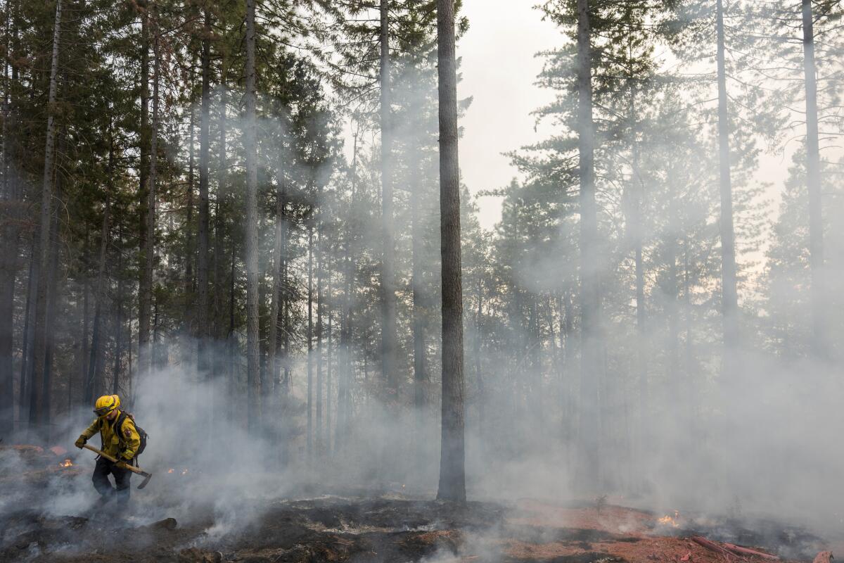 A firefighter works in a forest as small fires burn
