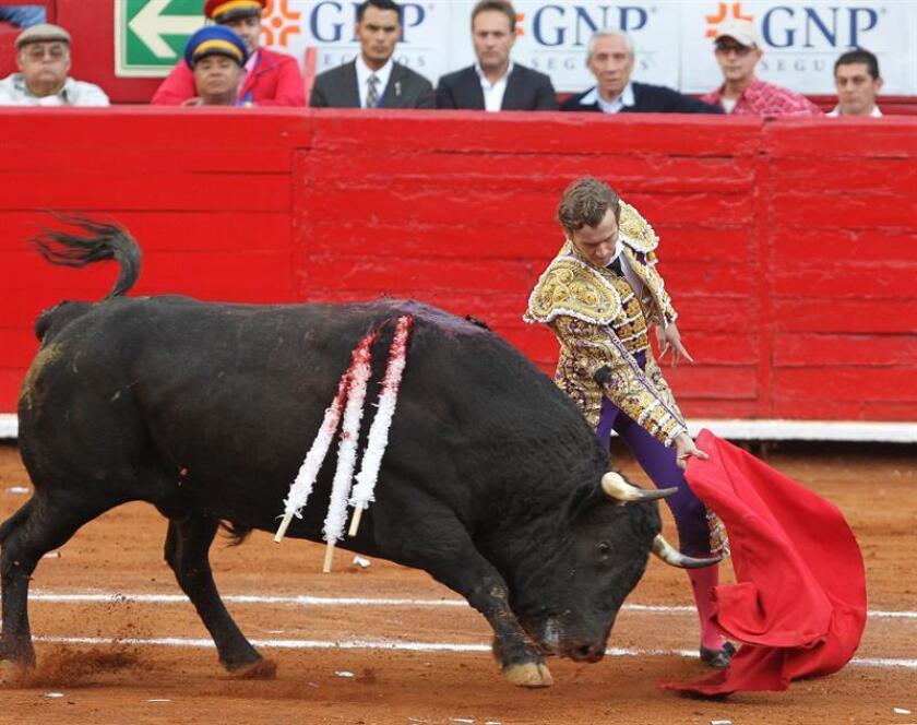 El torero méxicano Octavio Garcia "El Payo" lidia su segundo toro de la tarde "Don Rodolfo" de 518 kg. EFE/Archivo