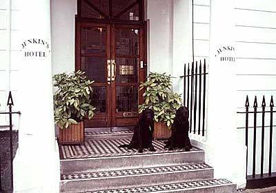 A pair of black Labrador retrievers are the resident greeters at the Jenkins Hotel in Bloomsbury, where the atmosphere is English cozy.